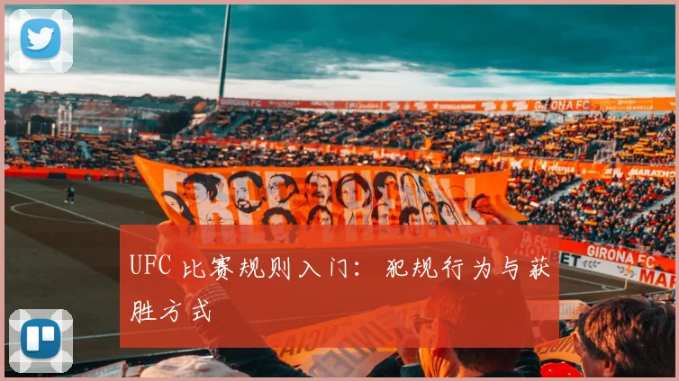 UFC 比赛规则入门：犯规行为与获胜方式