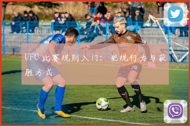 UFC 比赛规则入门:犯规行为与获胜方式